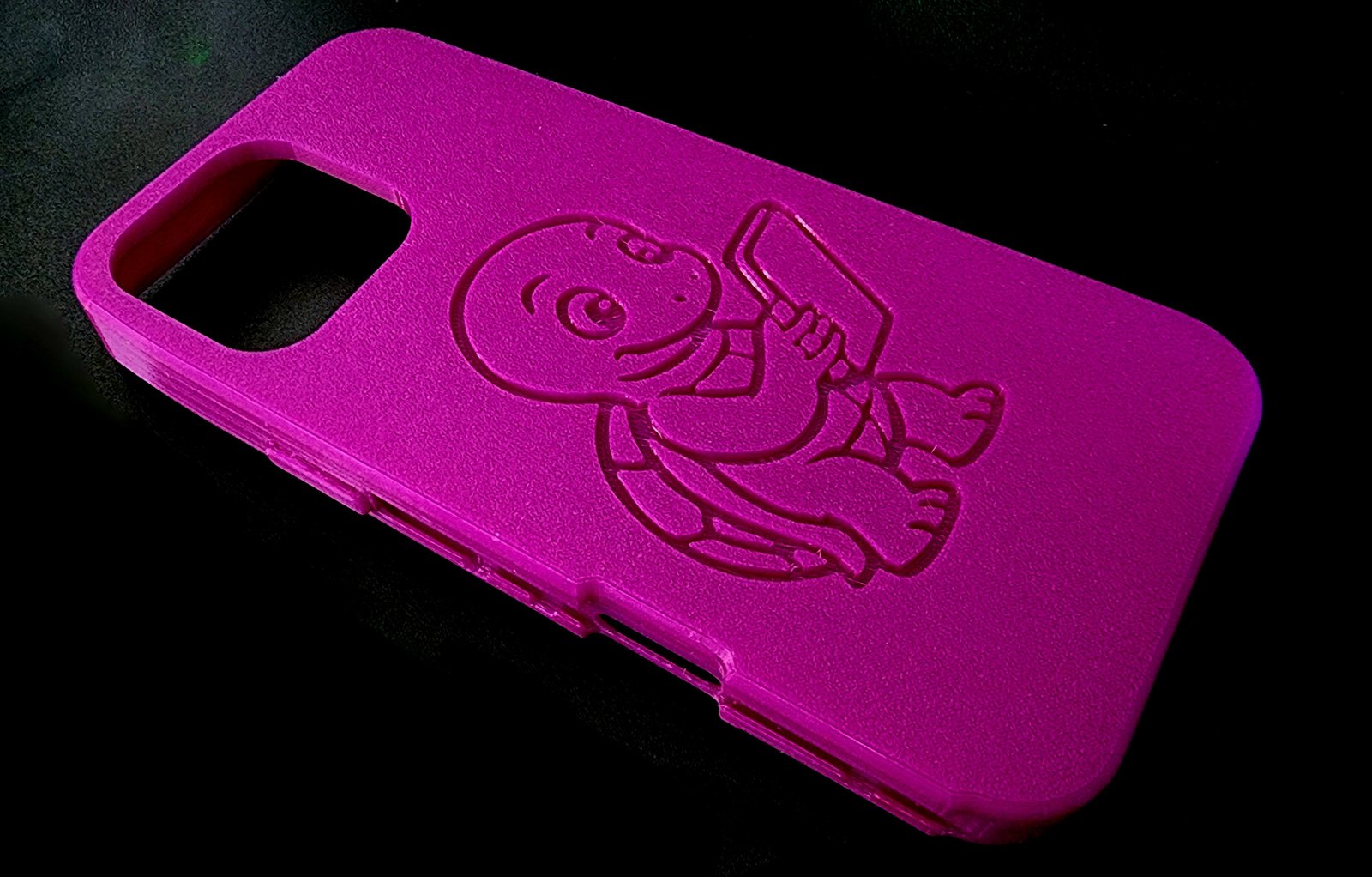 The Case